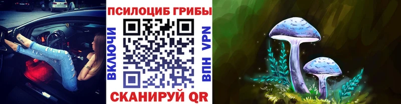 Псилоцибиновые грибы мицелий  купить   это телеграм  Емва 