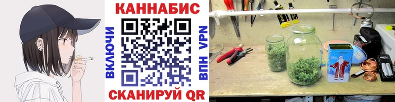 Каннабис SATIVA & INDICA  как найти   Емва 